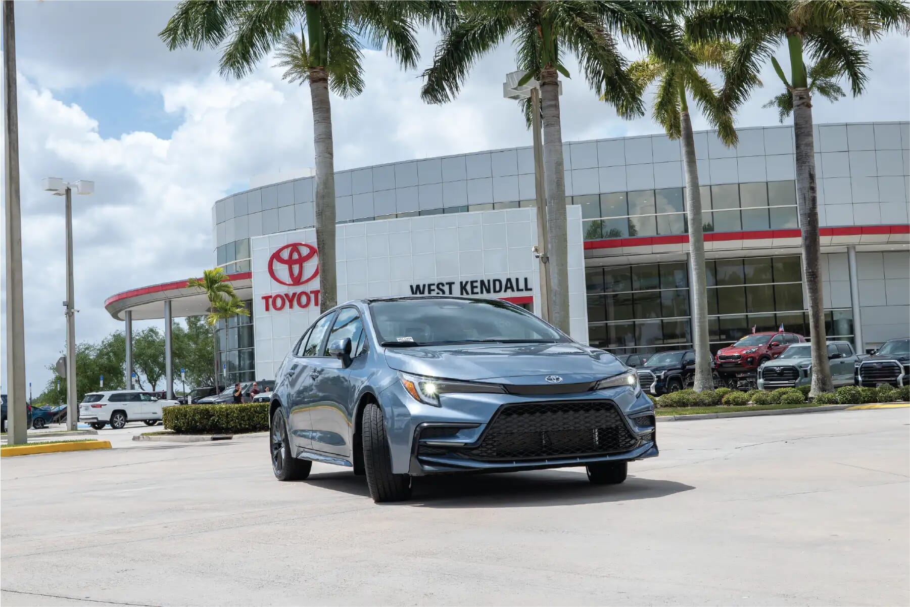New Corolla