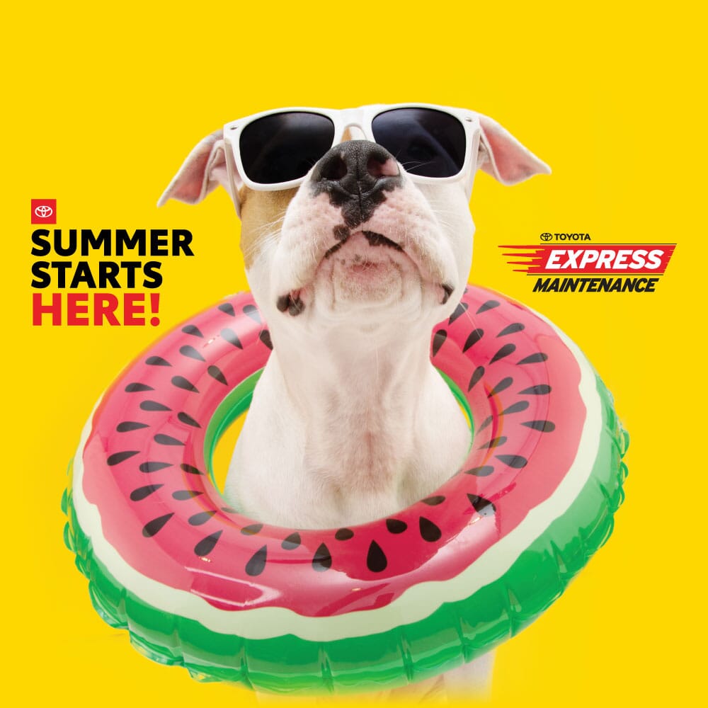 Kendall Toyota in Miami | New Cars | Used Cars | Toyota service and parts