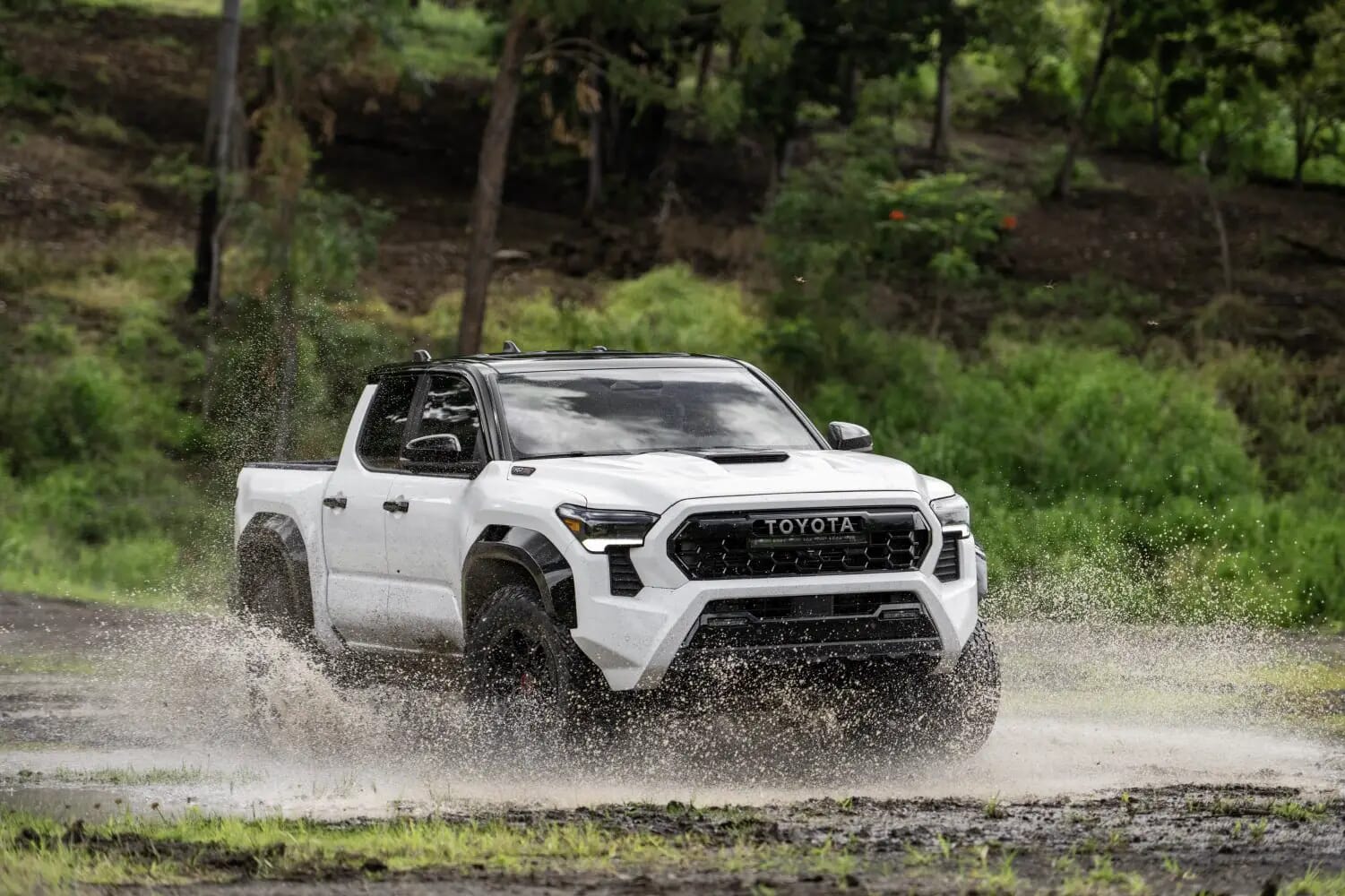 New Tacoma