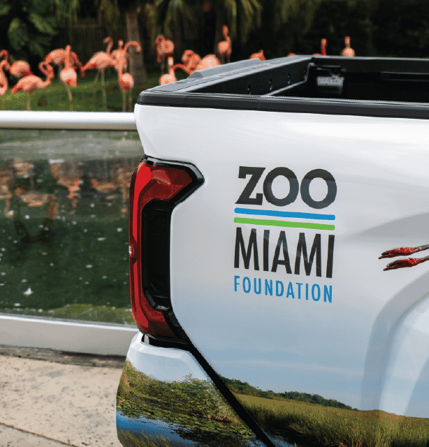 zoo miami tacoma